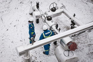 構建專業(yè)品牌形象 Allnorth工程技術服務咨詢公司的全方位視覺與數(shù)字體驗設計